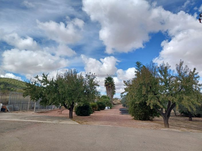 Image No.18-4 Bed Country House for sale