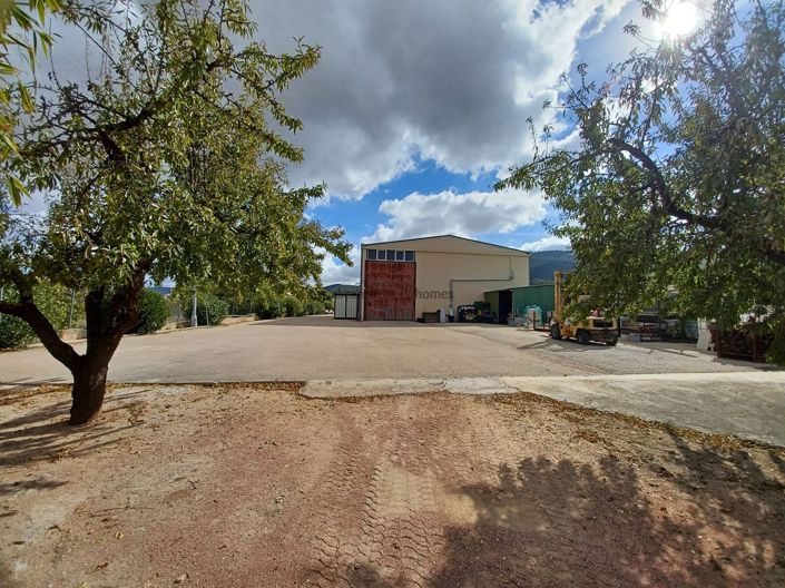 Image No.3-4 Bed Country House for sale