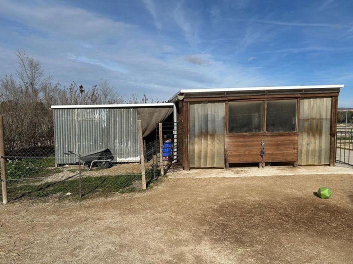 Image No.8-Villa de 5 chambres à vendre à Villena