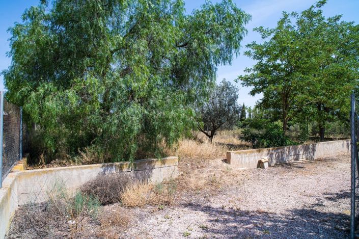Image No.49-Maison de campagne de 5 chambres à vendre à Pinoso