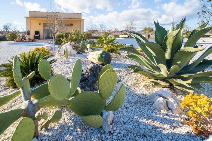 Image No.6-Villa de 3 chambres à vendre à Alicante