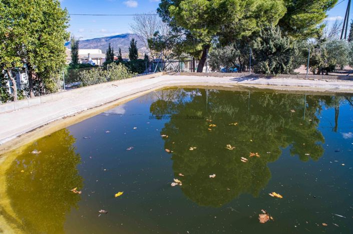 Image No.17-5 Bed Country House for sale