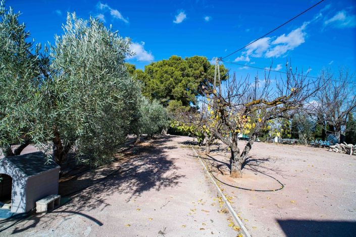 Image No.20-5 Bed Country House for sale