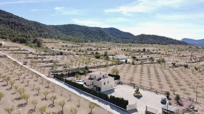 w2t56tzcqxnch4htjhc26