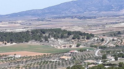 woh8gp0oczp78thc8xjkx