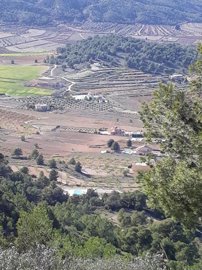 w8dpyfkskwopawr5a6o7i