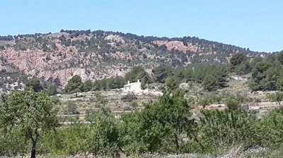 wd8p3xp7ckw8aqaos6wjp