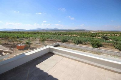 10275-villa-for-sale-in-pinoso-482957-large