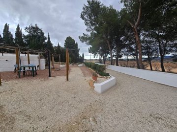 wwhatsapp-image-2026-02-09-at-112308-1-