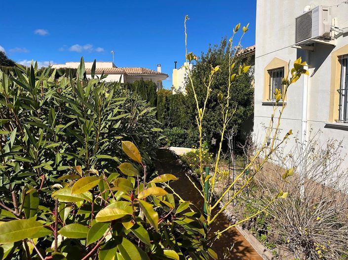 Image No.22-Villa de 3 chambres à vendre à Castalla