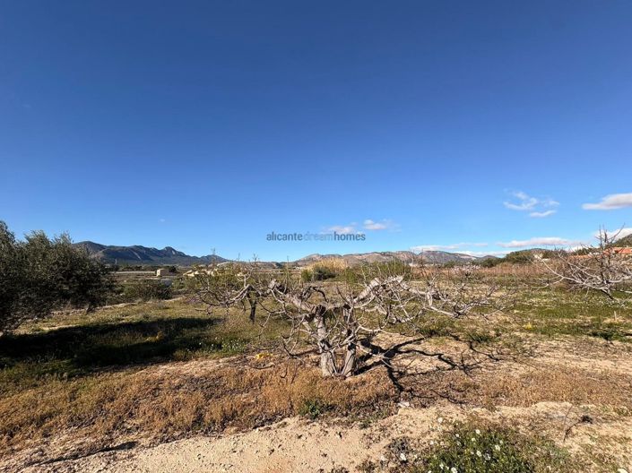 Image No.6-4 Bed Country House for sale