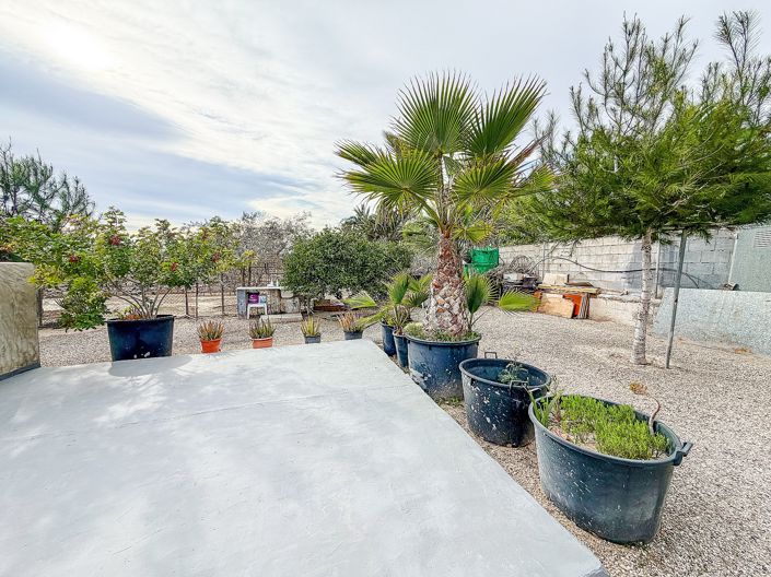 Image No.15-Maison de campagne de 2 chambres à vendre à Elche