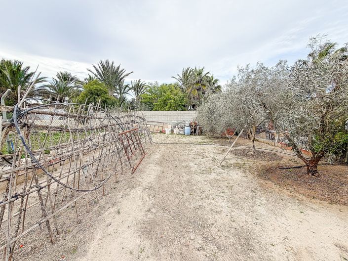 Image No.41-Maison de campagne de 2 chambres à vendre à Elche
