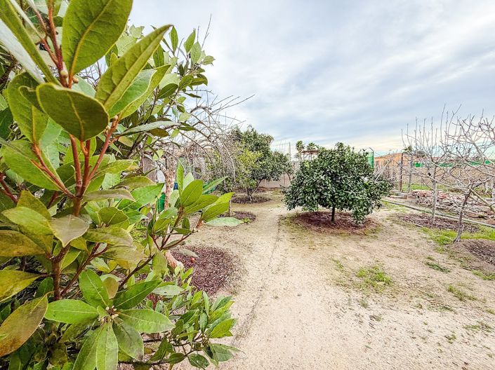 Image No.43-Maison de campagne de 2 chambres à vendre à Elche