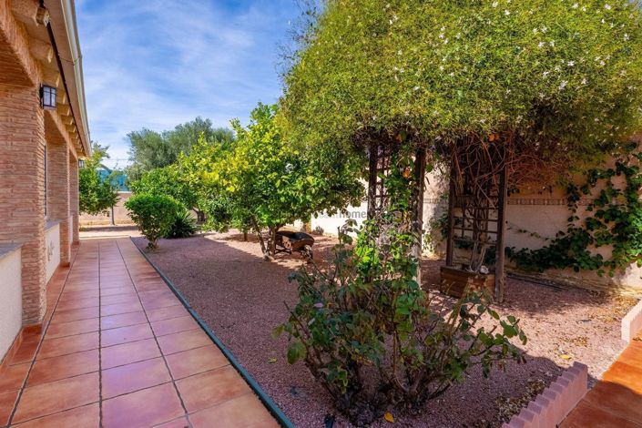 Image No.5-Villa de 6 chambres à vendre à Torrevieja