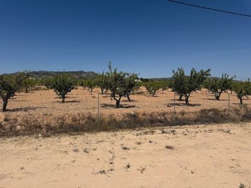 gg6t6g0w0sgusfji6jxhi0