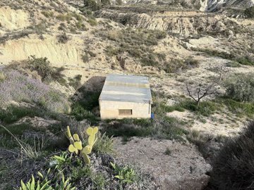 wrdbfz0ovyxexv32md768