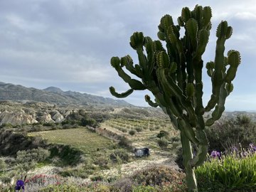 wxont7pigfi56v5zfdatu