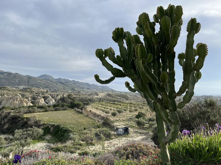 Image No.8-Maison de 4 chambres à vendre à Abanilla