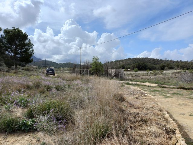 Image No.10-3 Bed Villa for sale