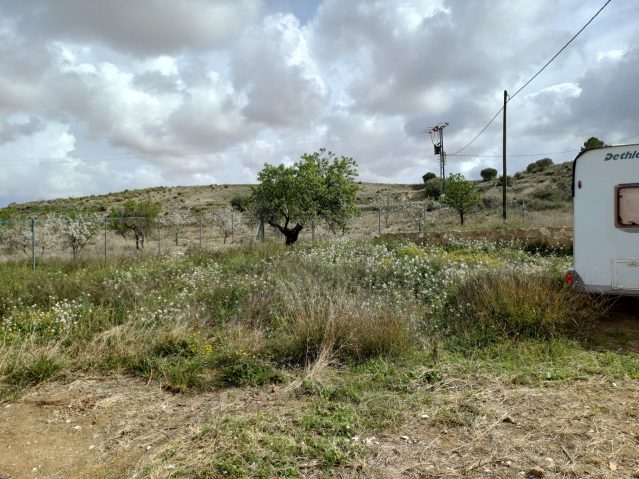 Image No.11-3 Bed Villa for sale