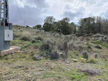 20260306124706-639x479