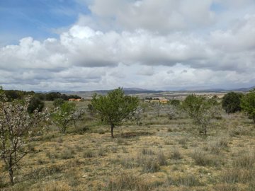 20260306124646-639x479