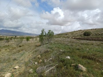 20260306124652-639x479