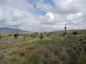 20260306124542-639x479