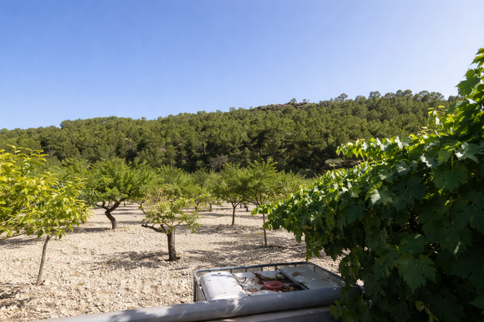 Image No.10-1 Bed Villa for sale