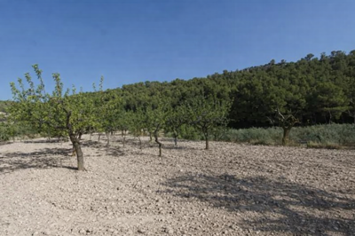 g1b7ccdd3-3d24-450c-80fe-d8c0b3916dc6