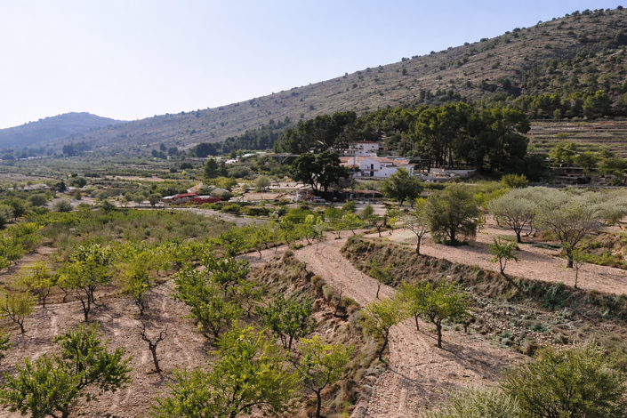 Image No.2-1 Bed Villa for sale