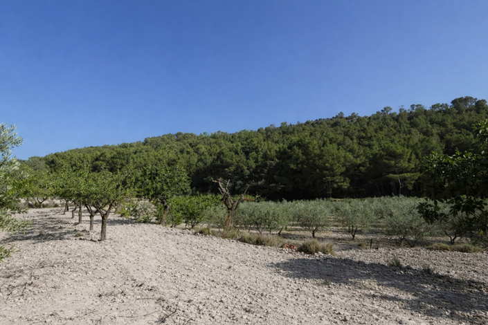 Image No.3-1 Bed Villa for sale