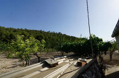 gee044855-ef29-4498-a73e-f712dc4188ad