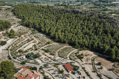 g1a82d721-1545-449f-baa0-817f4d2ee000