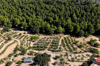 g2b2f5af1-95a7-4782-aa27-0aeb693bfc37