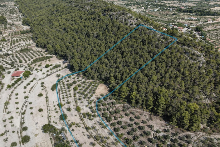 Image No.9-1 Bed Villa for sale