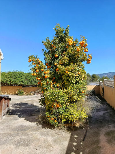 Image No.2-3 Bed Country House for sale