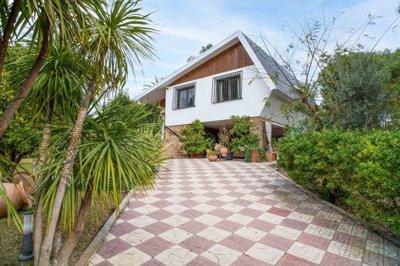 gdfd63fc6-c6af-451a-b535-f93ba0bbf769