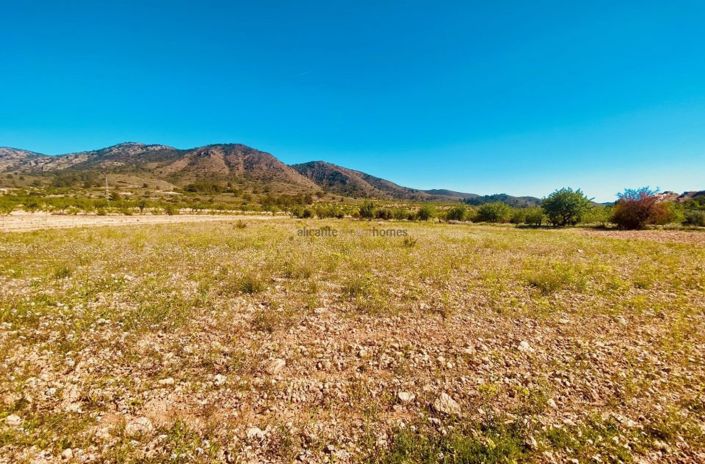 Image No.12-5 Bed Country House for sale