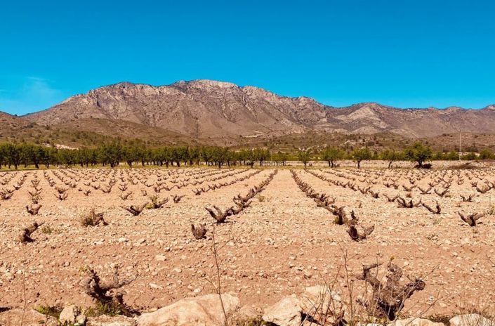 Image No.16-5 Bed Country House for sale