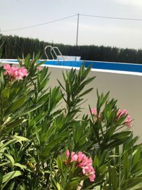 gb88b6e75-4f1e-4087-80a5-3e99220a3c7f