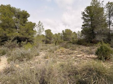 g62f2586f-9eea-4c73-b7db-de26acf451ca