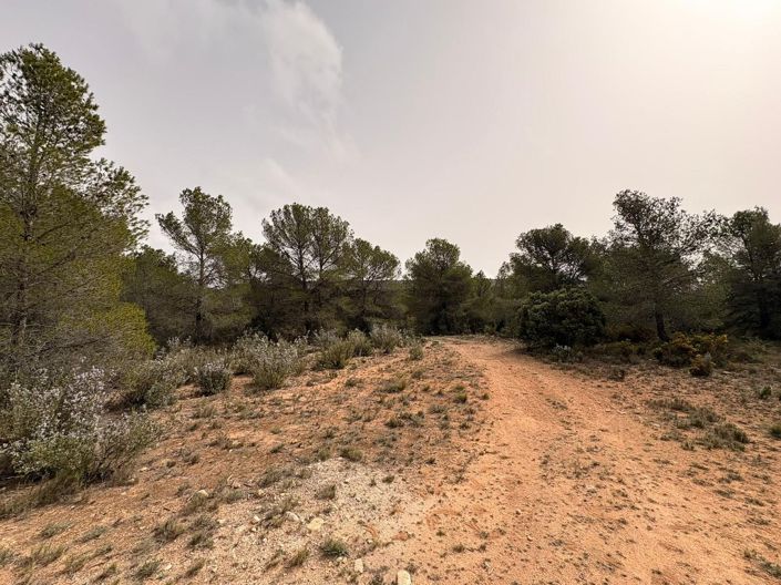 Image No.12-Terre à vendre à Petrer