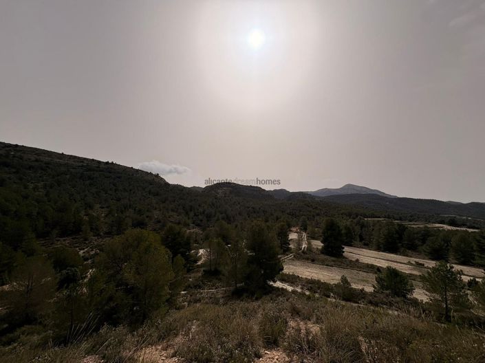 Image No.13-Terre à vendre à Petrer