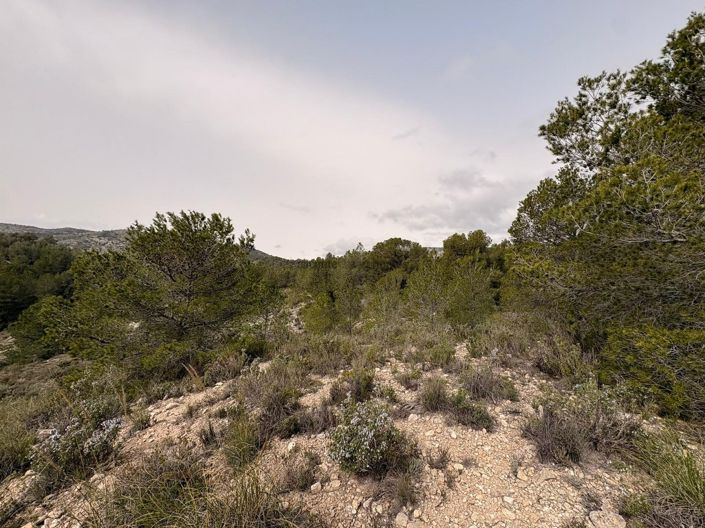 Image No.16-Terre à vendre à Petrer