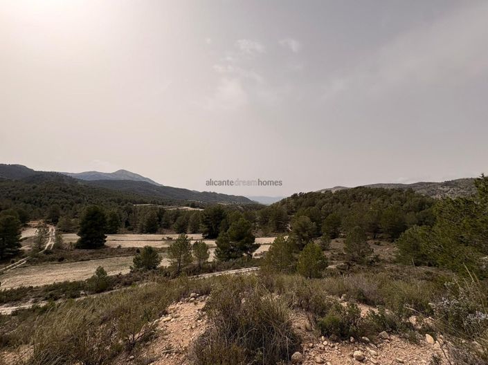 Image No.18-Terre à vendre à Petrer