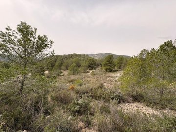 gfbb84247-64b1-4c84-965f-3a53450bfcb3