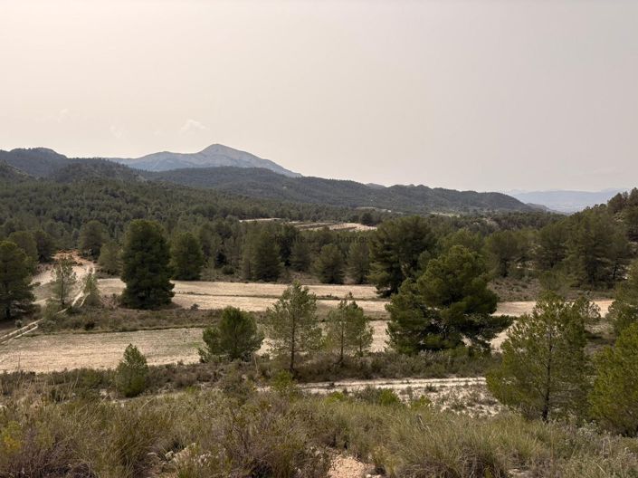 Image No.3-Terre à vendre à Petrer