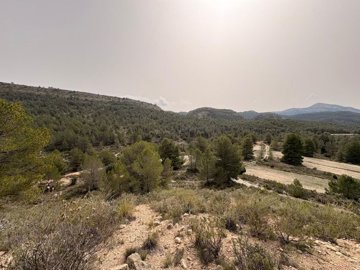 g088eb3ca-af68-4a03-a184-748bfa3eef5a